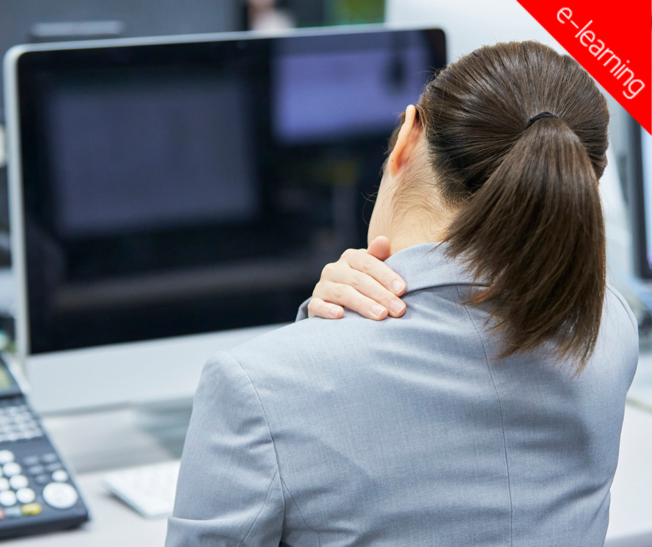 Ergonomia no Trabalho com Equipamentos Dotados de Visor (e-learning)